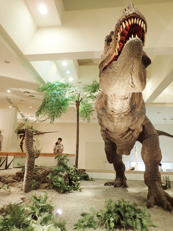 愛媛県総合科学博物館ティラノサウルス