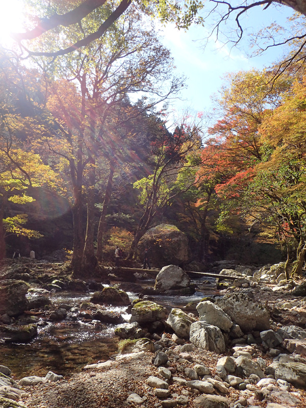 小田深山渓谷の川と紅葉